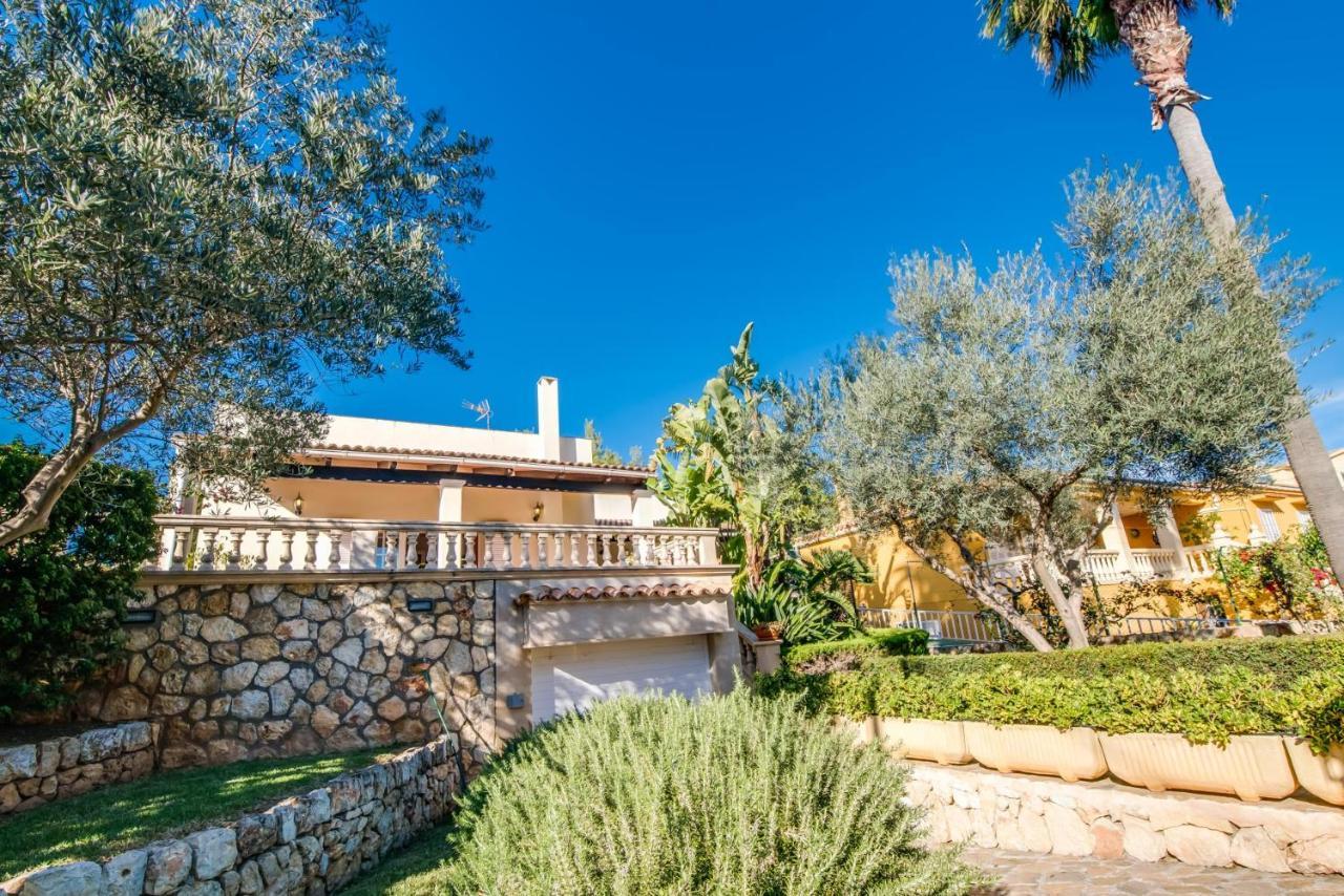 Ideal Mallorca - Jaume *