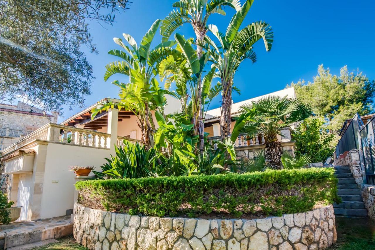 Ideal Mallorca - Jaume Alcudia (Mallorca)